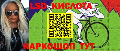 МДПВ Новодвинск