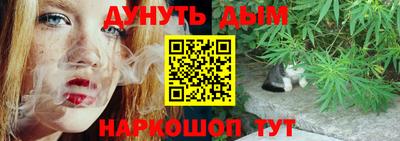 МДПВ Новодвинск