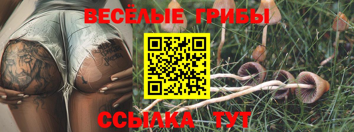Фурманов  Псилоцибиновые грибы Psilocybine cubensis  Галлюциногенные грибы Cubensis  Вход с VPN 