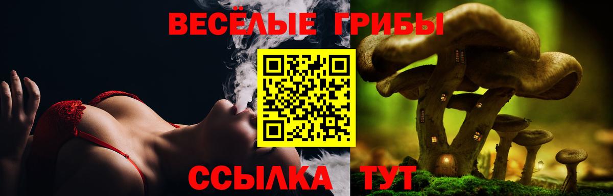 Псилоцибиновые грибы Psilocybine cubensis Фурманов